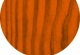 Sosna (Colorit)