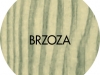 Brzoza