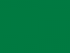 zielona miętowa RAL 6029